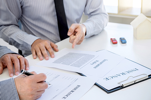 Anhui Pear Varieties Group