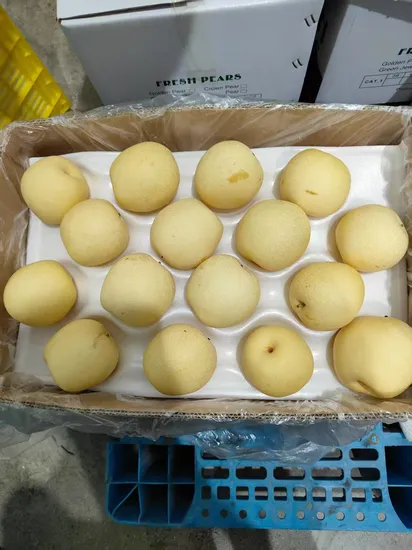 Crystal Pear (80#/88#/100#/113#/125#/138#)