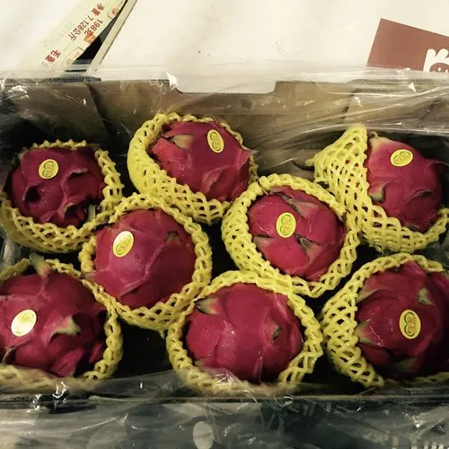 Sunripe Dragon Fruit Fusion Pitaya Cubes Rich Skin Renewal Boosters
