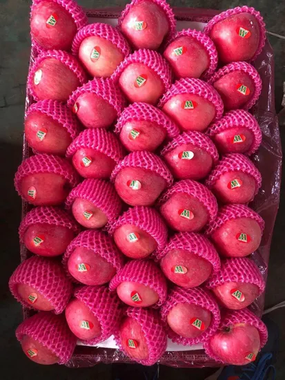 Fresh Premium Quality Paper Bagged FUJI Apple