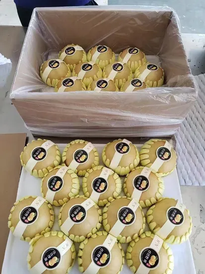 Export Quality Pears Fresh and Juicy From China 