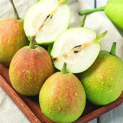 Chinese Fresh Fruit Variety of Pears Sweet and Juicy Taste 