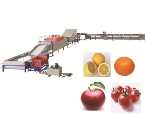 Zhengzhou Lemon Benfu Fruit Apple Pear Peach Apricot Washing Waxing Sorting Machine Line 