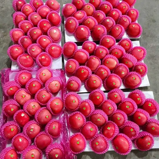 5 Layer Full Blush Color Paper Bag FUJI Apple 