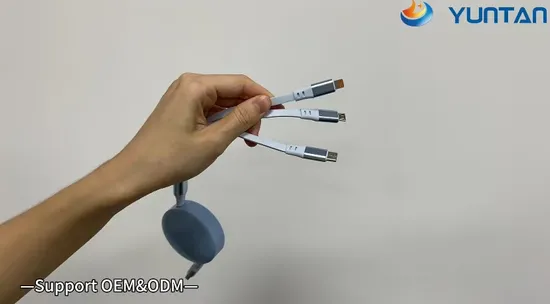 6A 100W Fast Charging USB Cable 3 in 1 Multiple USB Cable Gadget Item Custom Logo 