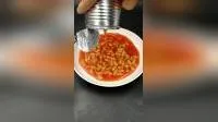 Best Selling 800g Canned Beans in Tomato Sauce 
